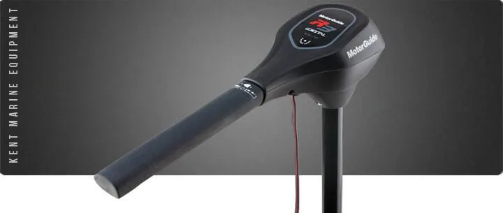 Moteurs électriques arrière