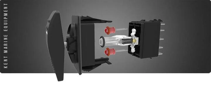 Interrupteurs Carling