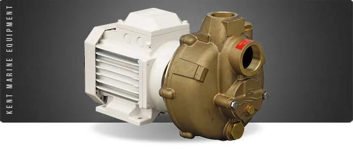 Electropompe eaux grises / eaux noires Gianneschi - Série BMA-M