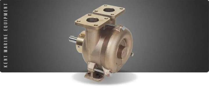 Pompes flasquées Forani