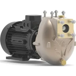Electropompe AM40D4 230V monophasé