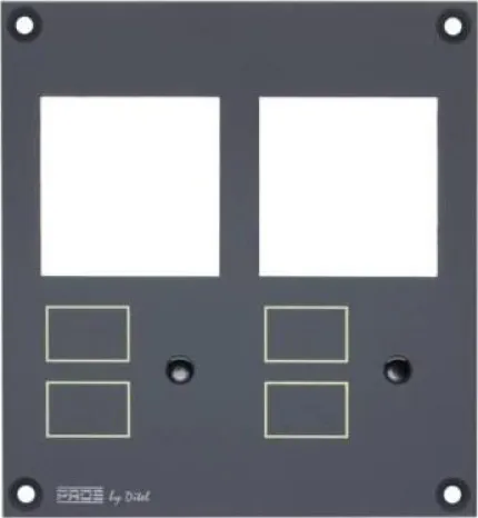 Module pour 2 instruments analogiques 48x48mm