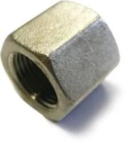 Bouchon femelle inox 1''
