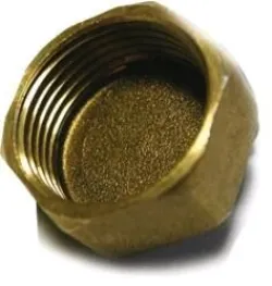 Bouchon femelle laiton 1''