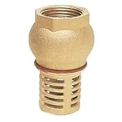 Clapet de pied laiton Ø 2''