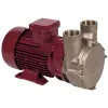 Electropompe PC25 24V