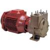 Electropompe TS40D14