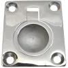 LEVE-PANNEAU INOX FORGE 38X48