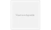 Moniteur couleur 7