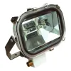 Projecteur de pont 500W/240V IP67